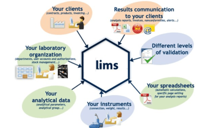 LIMS Implementation: Success Factors from a Project Manager Perspective