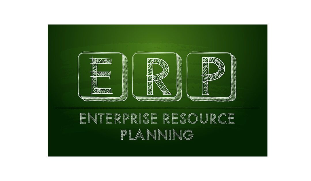 Business Case: ERP Computerised Software Assurance